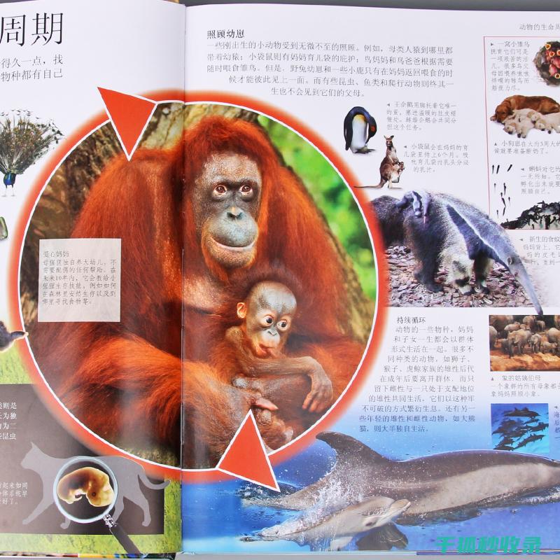 特征及生态地位