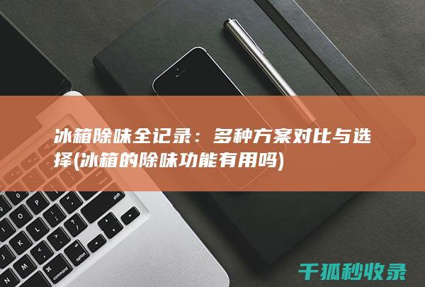 冰箱除味全记录：多种方案对比与选择 (冰箱的除味功能有用吗)