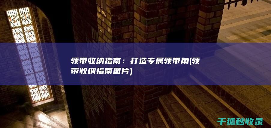 领带收纳指南：打造专属领带角 (领带收纳指南图片)