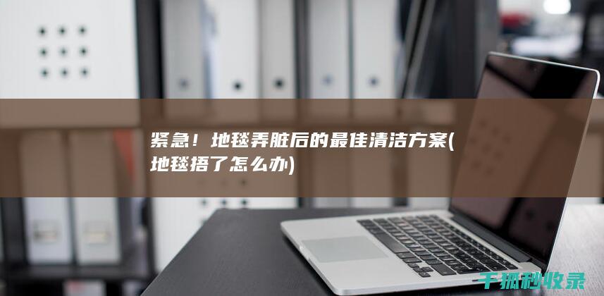 紧急！地毯弄脏后的最佳清洁方案 (地毯捂了怎么办)