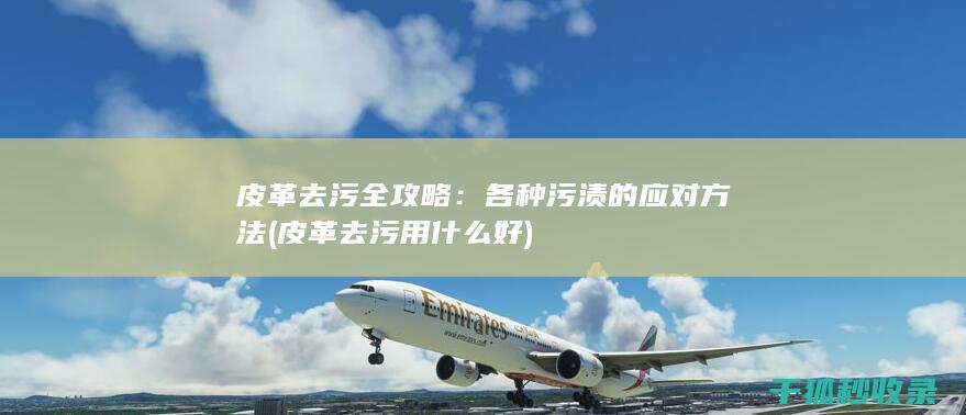 皮革去污用什么好