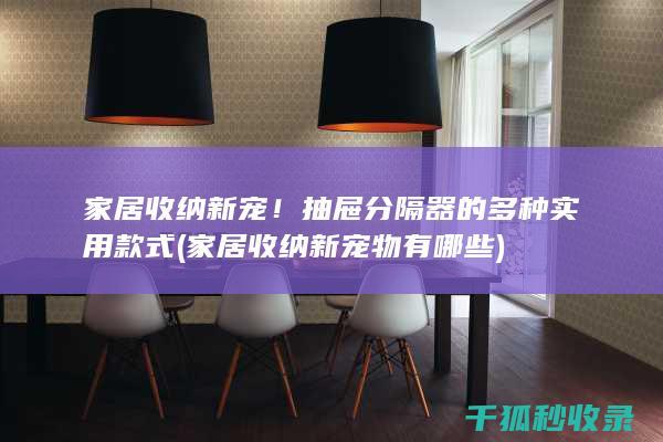 家居收纳新宠！抽屉分隔器的多种实用款式 (家居收纳新宠物有哪些)