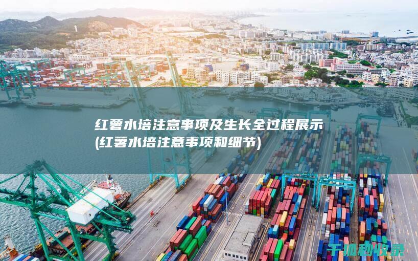 红薯水培注意事项和细节