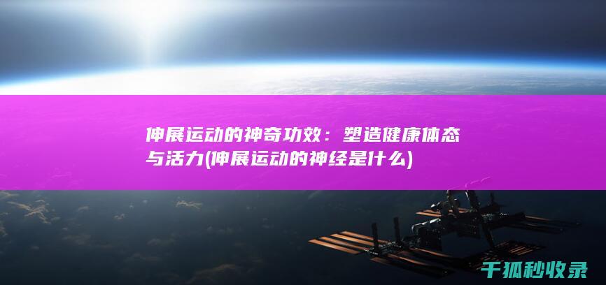 伸展运动的神经是什么