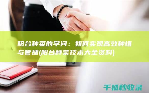阳台种菜的学问：如何实现高效种植与管理 (阳台种菜技术大全资料)