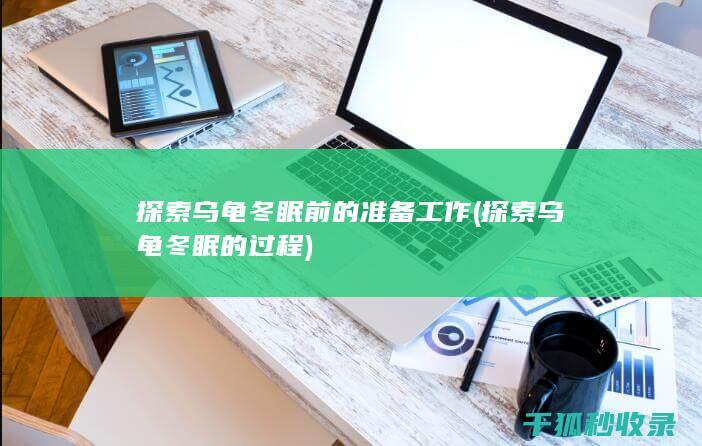 探索乌龟冬眠前的准备工作 (探索乌龟冬眠的过程)