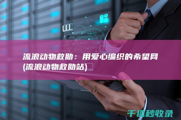 流浪动物救助：用爱心编织的希望网 (流浪动物救助站)