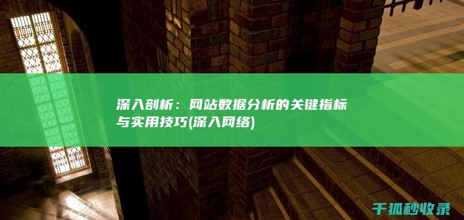 深入剖析：网站数据分析的关键指标与实用技巧 (深入网络)
