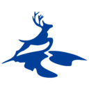 伍运国际物流