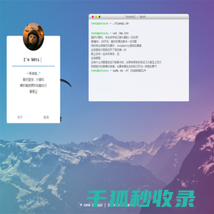 代码如诗