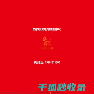 泥狗子网络科技有限公司