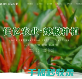 延川县佳亿农业发展有限公司