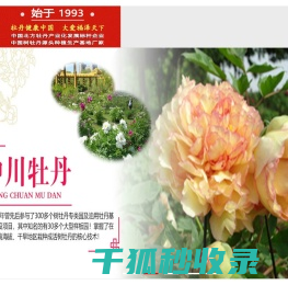 甘肃牡丹,紫斑牡丹,油用牡丹,牡丹产业加盟,甘肃中川牡丹