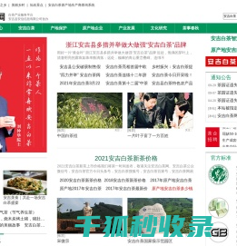 浙江安吉白茶网