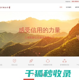 新颜征信