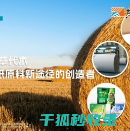 世纪阳光纸业集团