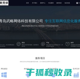青岛武略网络科技有限公司