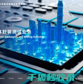 江苏盐芯微电子有限公司
