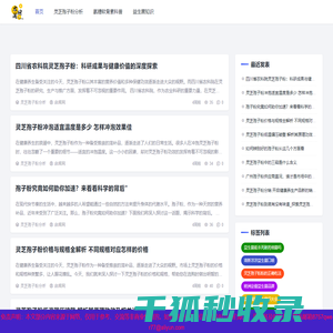 启闻网